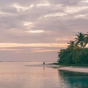 Avatar người dùng Mỹ Tâm